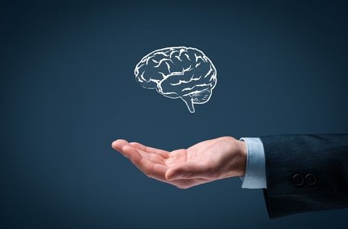 6 dicas de metodo trader | mao estendida e cerebro